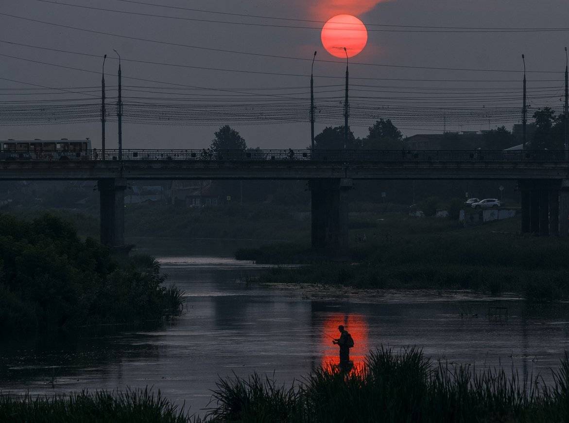 , Алексей Горохов