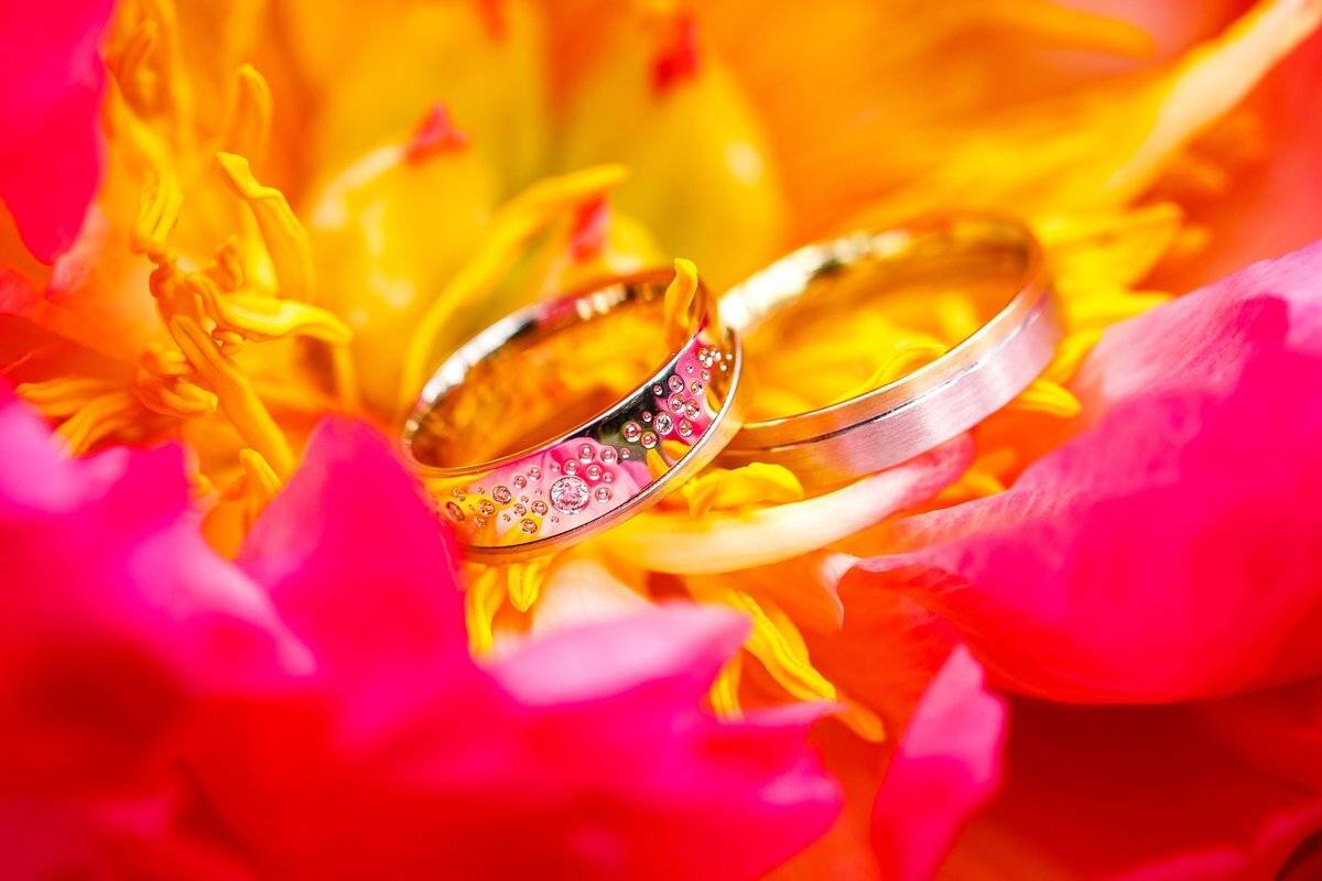 свадебная прогулка, свадьба, жених, невеста, любовь, love story, кольца, mdmmikle, Латвия, Рига, Михаил Маслов