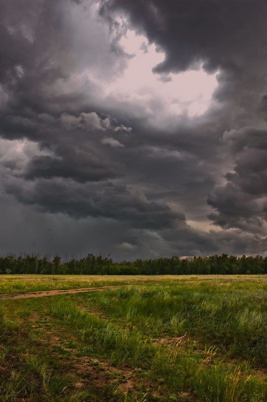 Небо, Степь, Тучи Небесные драмы фото превью