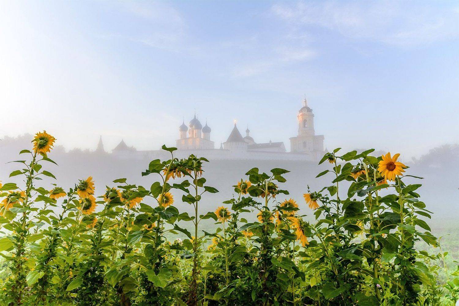 , Анатолий Зверев