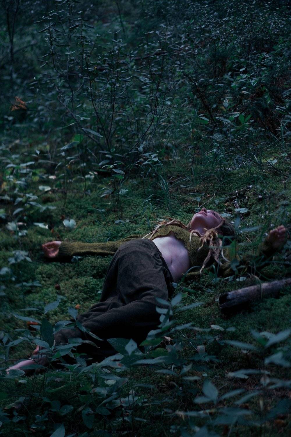 canada, alberta, banff, forest, trees, green, elf, Денис Семенов