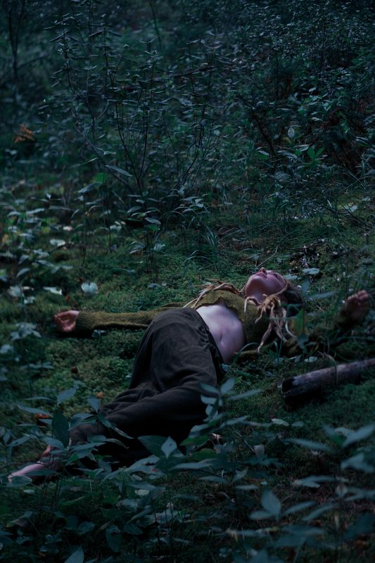 canada, alberta, banff, forest, trees, green, elf Дикарка фото превью