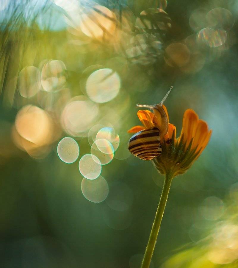 , Pawel Plucinski