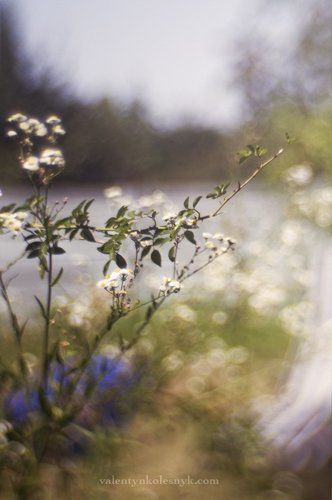 Soulfulness