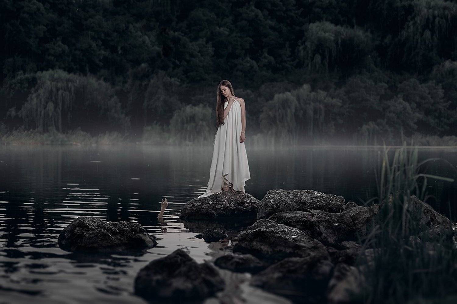 , Николай Крауз