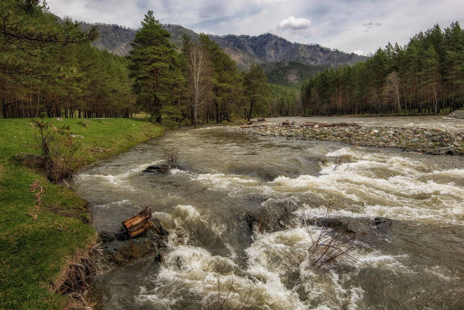 алтай, чемал, GunterV