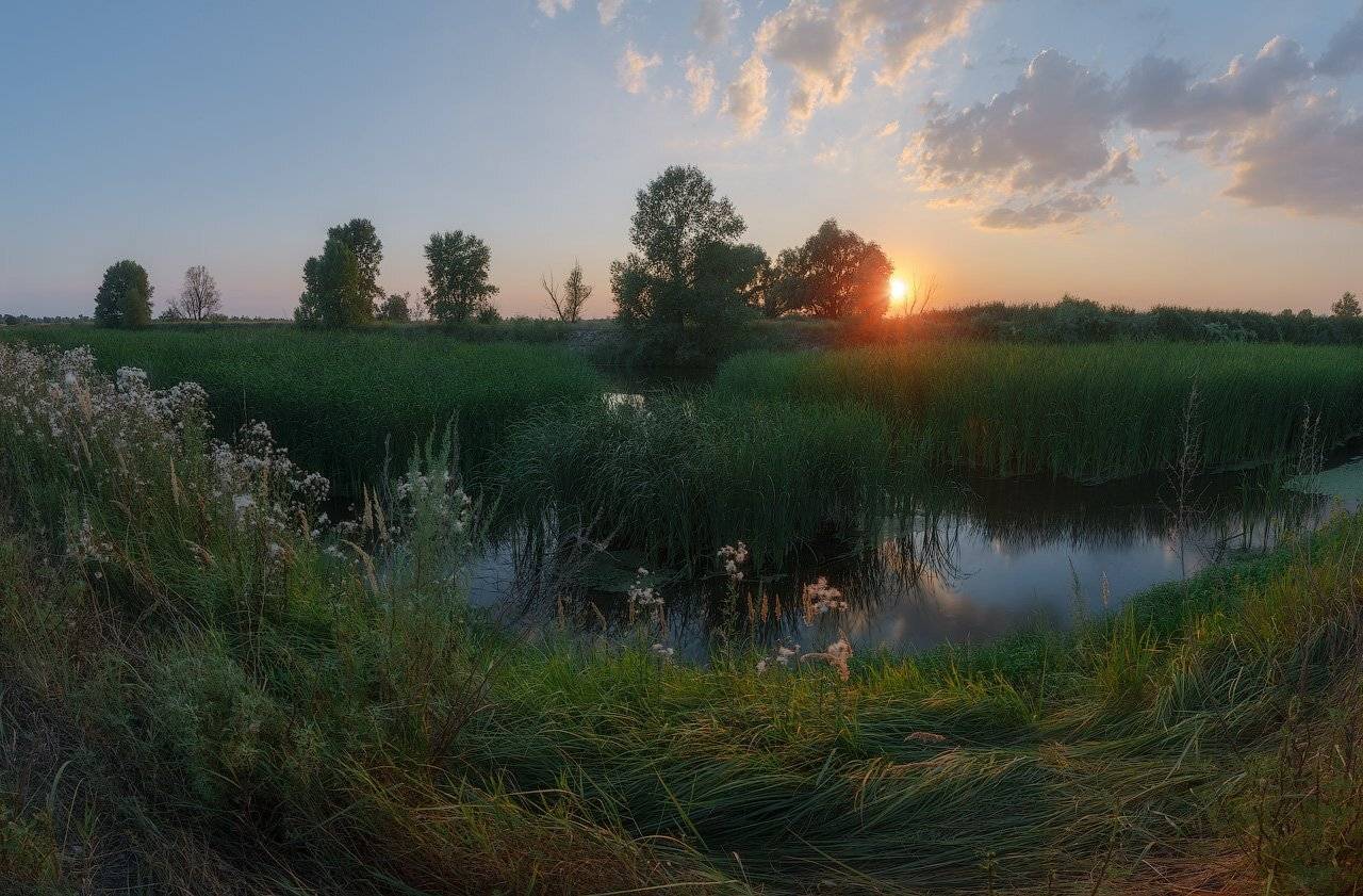 , Ярослав Тюрменко (Jaremi)