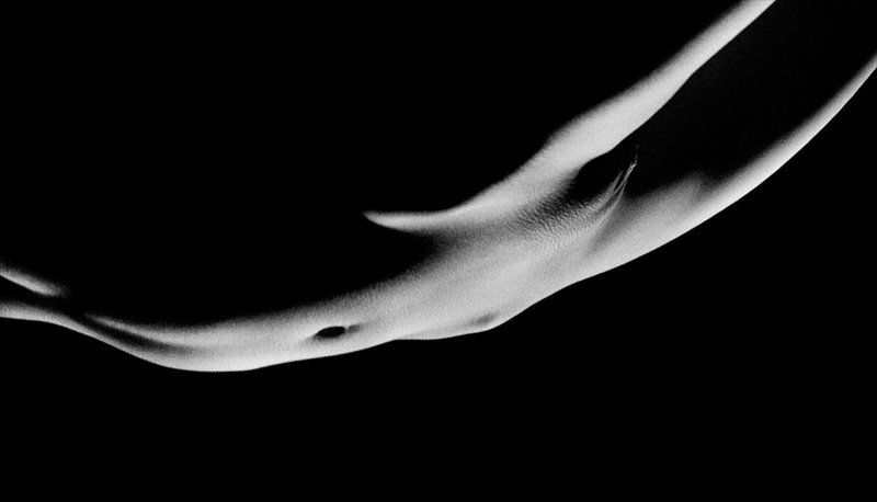 лунная соната фото превью