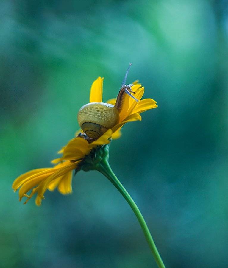 , Pawel Plucinski