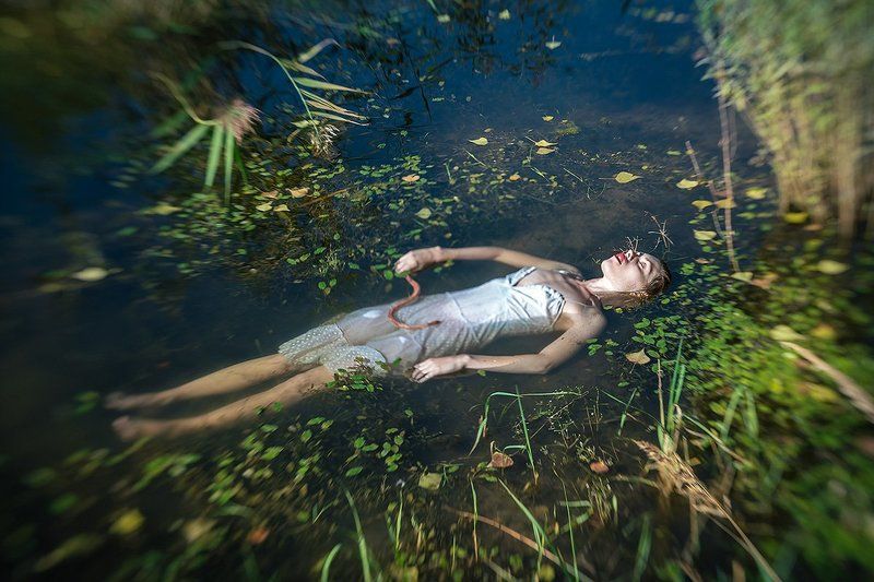 Where The Wild Roses Grow фото превью