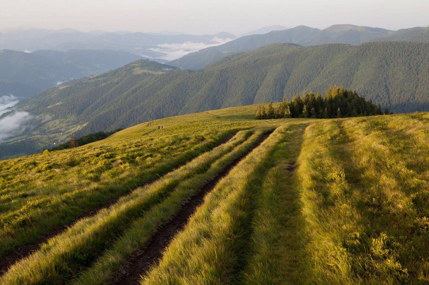 , Екатерина Москалюк