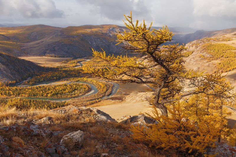 УТРО НАД ЧУЙСКИМ ТРАКТОМ. фото превью
