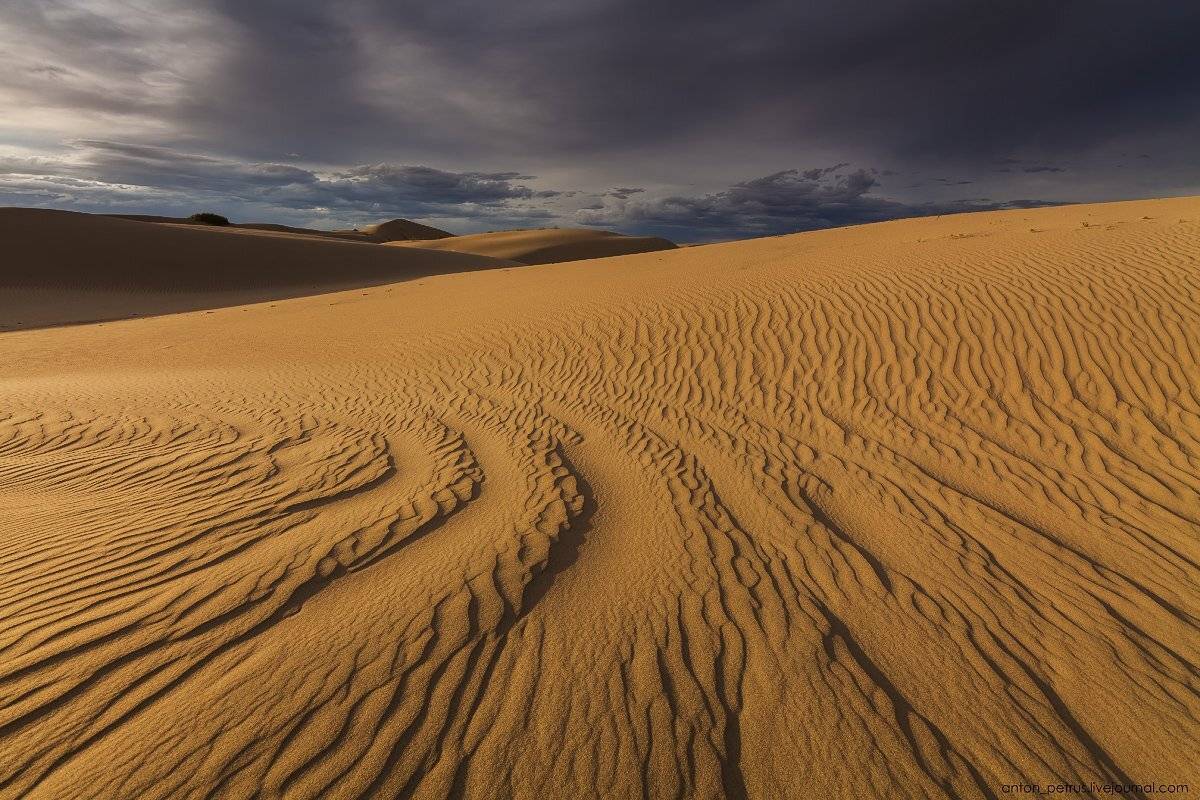 Гоби, Закат, Монголия, Пустыня, Антон Петрусь