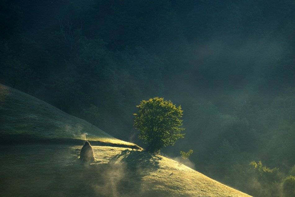 , Stefan Chirobocea