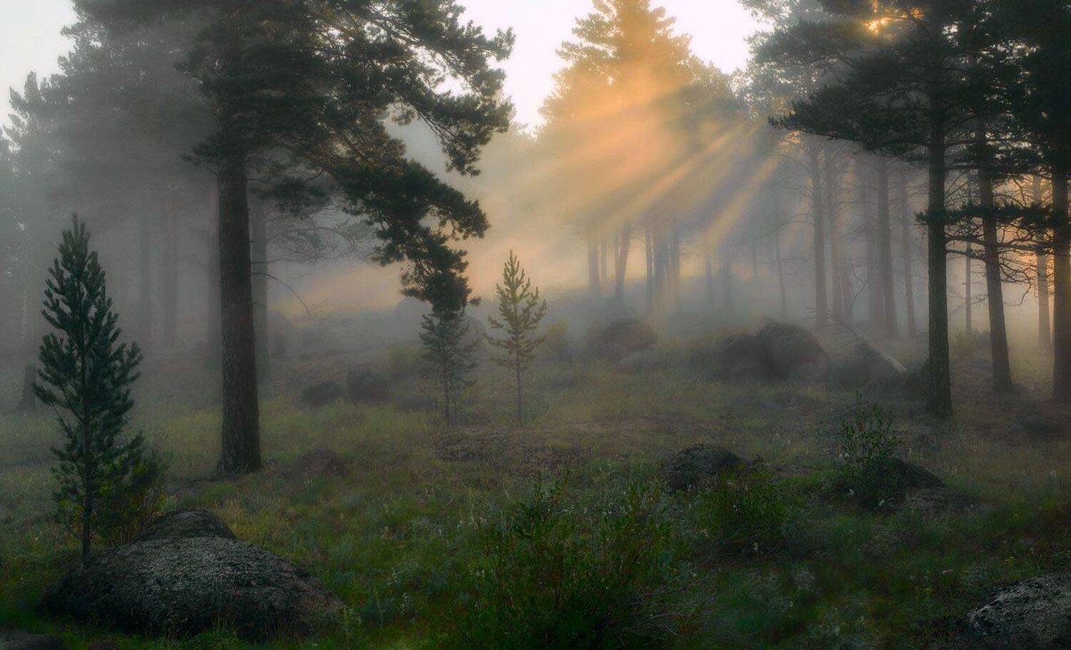 , Сергей Брагин