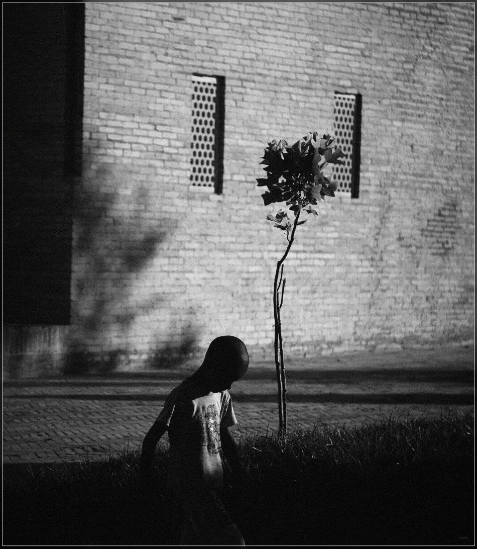 , Ильдар Садыков