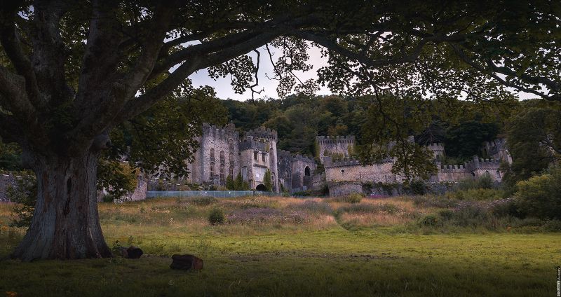 Заброшенный замок Грайч (Gwrych). Уэльс. фото превью