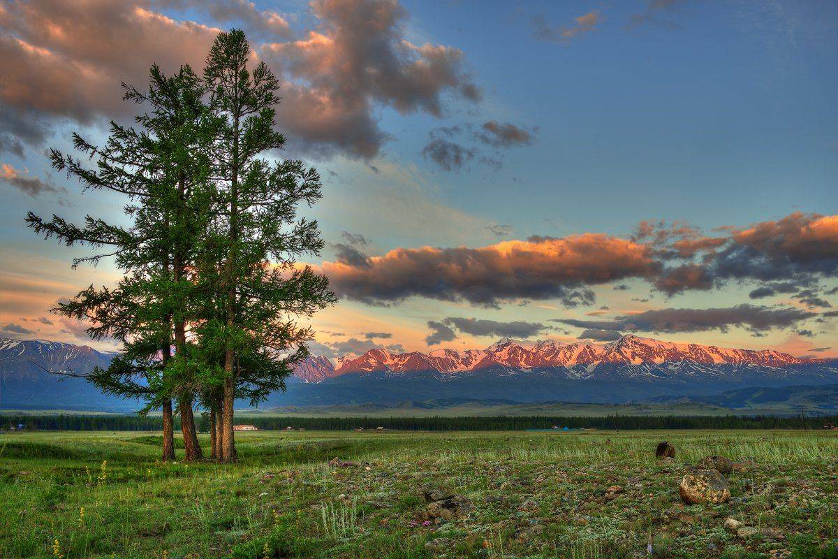 Алтай Курай, Сергей Кузнецов