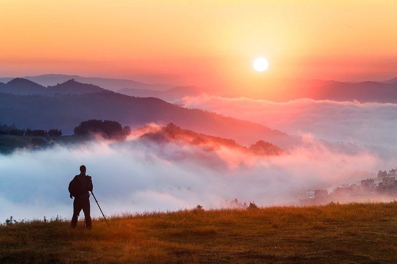 The Landscaper... фото превью