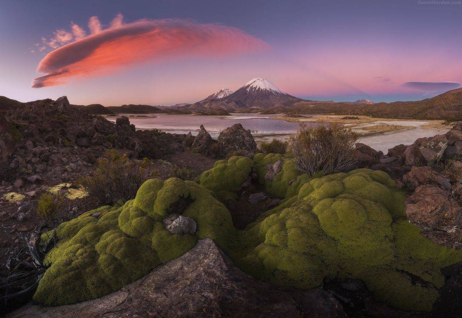 Чили, Боливия, Даниил Коржонов