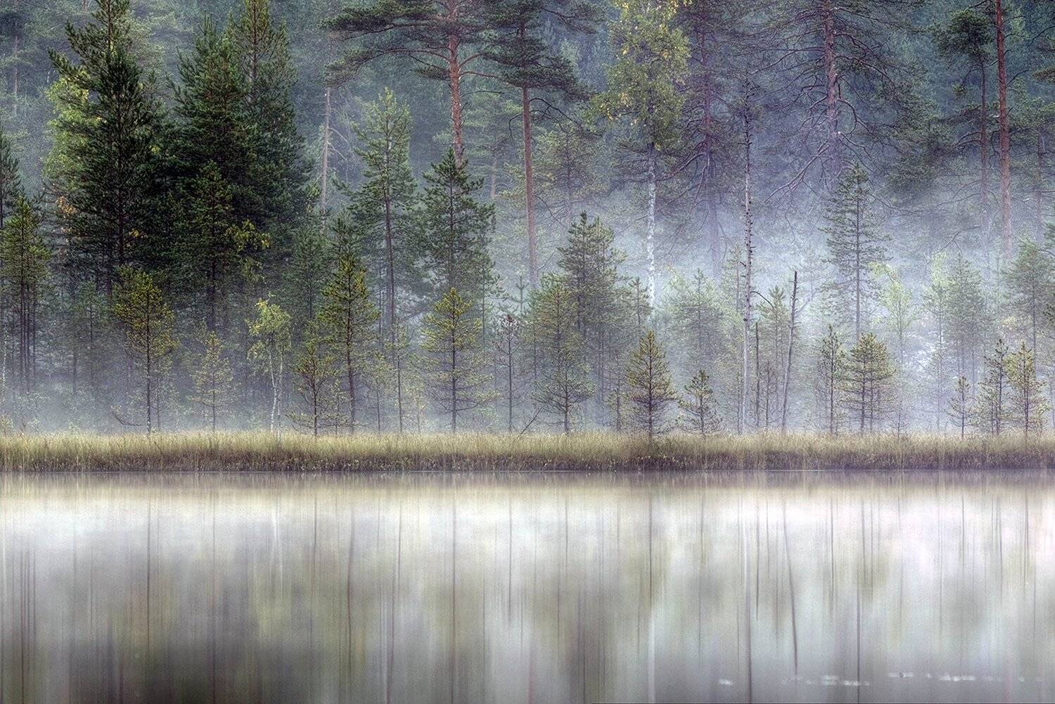 Карелия, Виктор