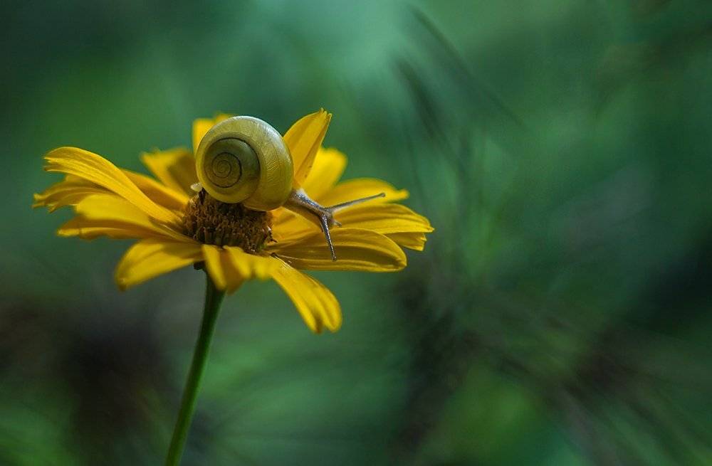 , Pawel Plucinski