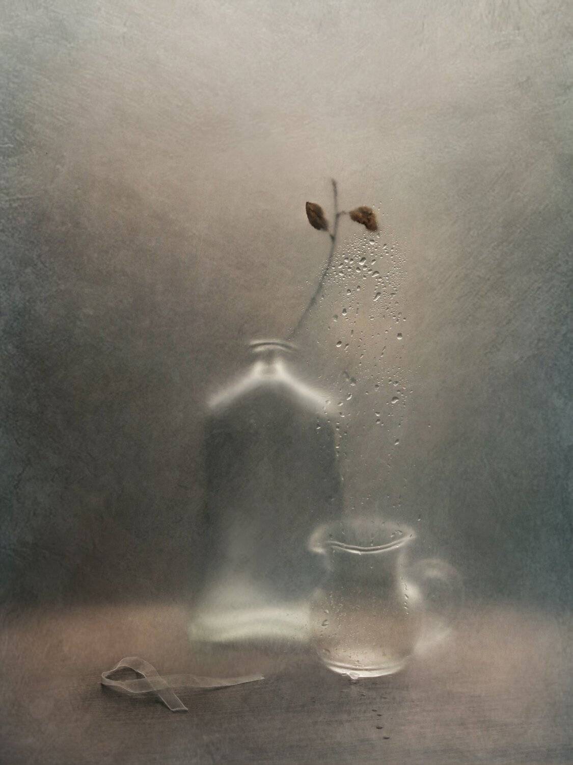 ветка, листья, капли, бутылка, кувшин, ленточка, арт, натюрморт, Елена