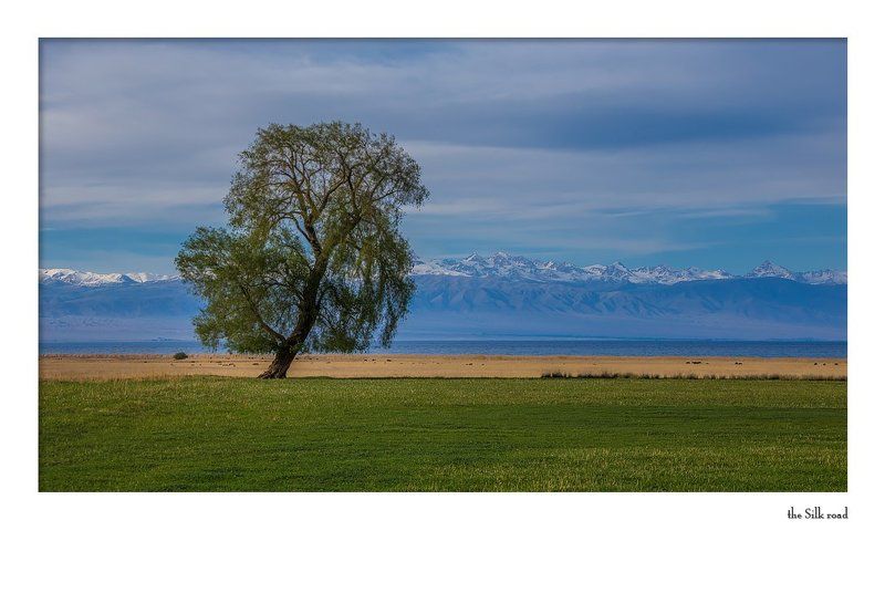 вкусная... желтая линия фото превью