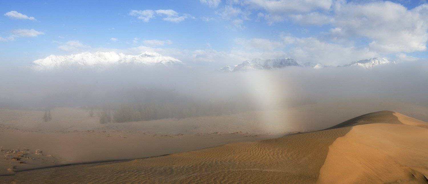 , Сергей Козлов