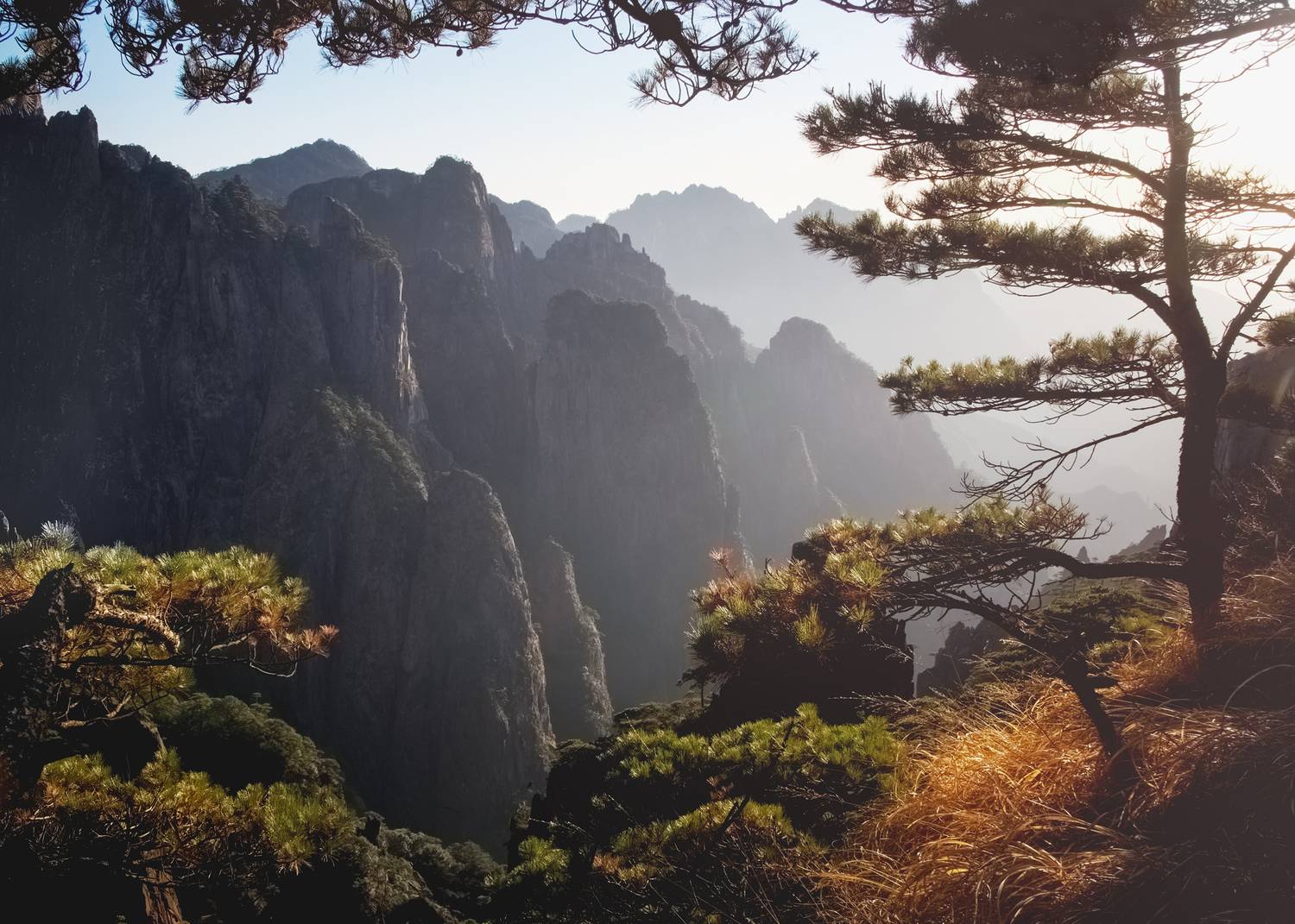 , Olga Belousova