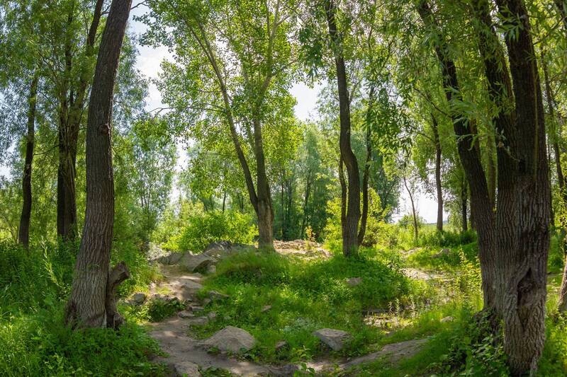 фото превью