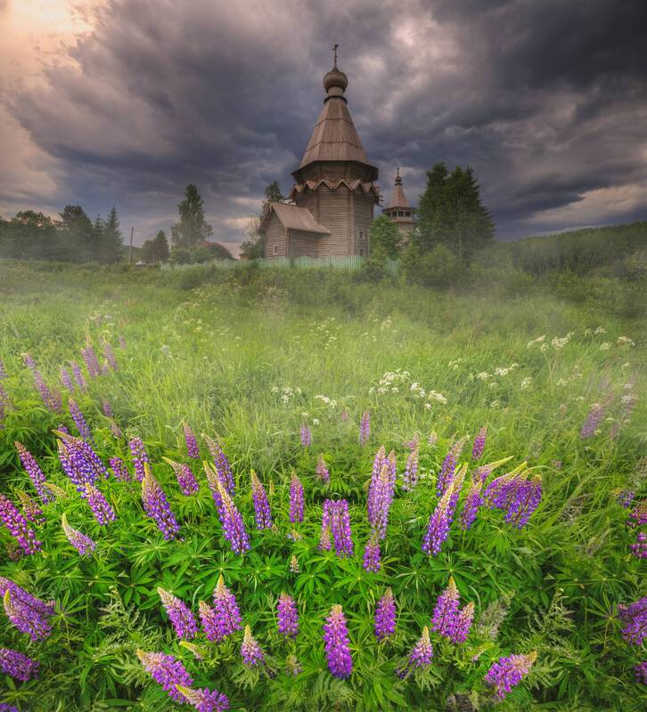 Согиницы... фото превью