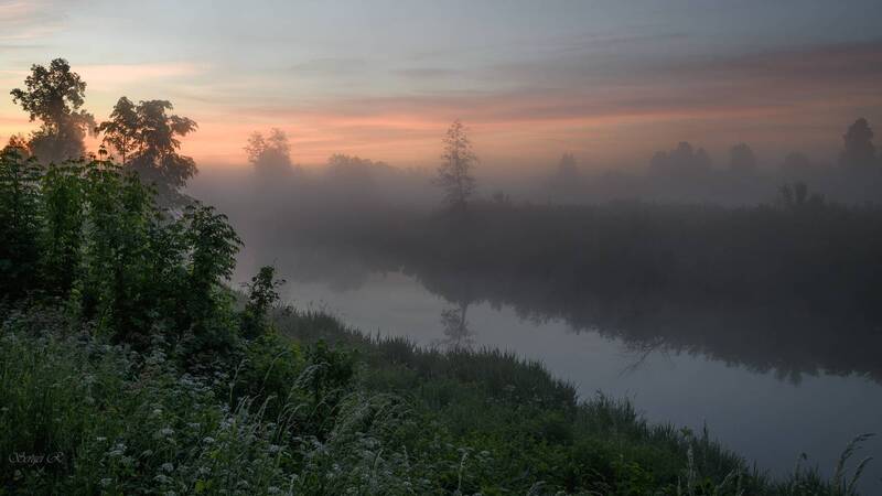 лето, июнь, рассвет, туман, река, лес, деревья, кусты, трава Туманным утром... фото превью