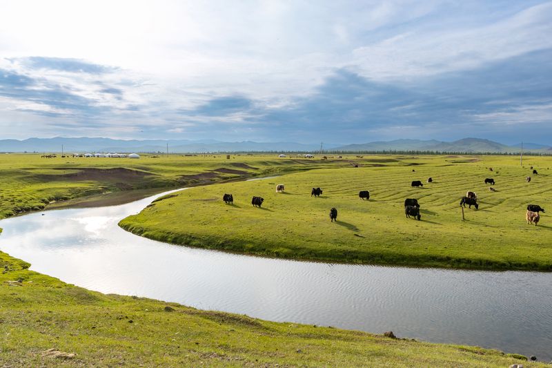 Монголия. Долина реки Орхон. фото превью