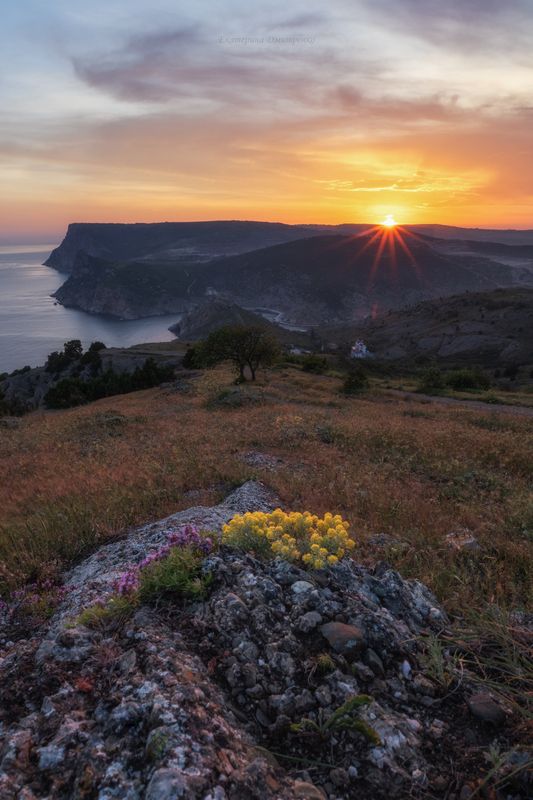 крым, балаклава, природа, пейзаж, море, горы, севастополь, закат, цветы, весна Балаклавская идиллия фото превью