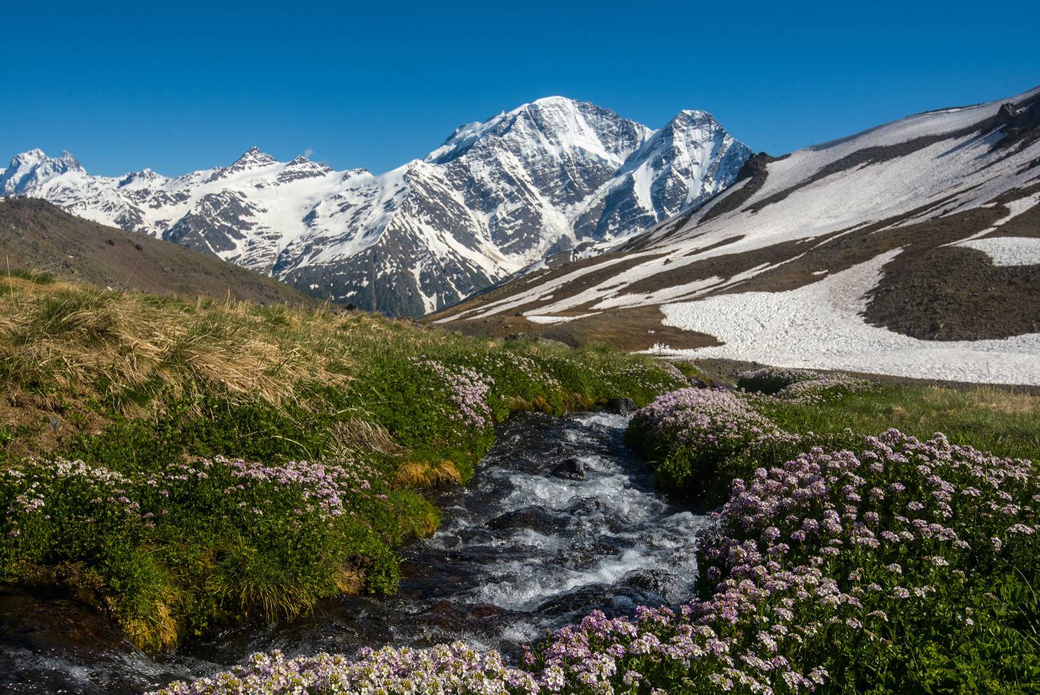 терскоп, кабардино-балкария, Хасан Журтов