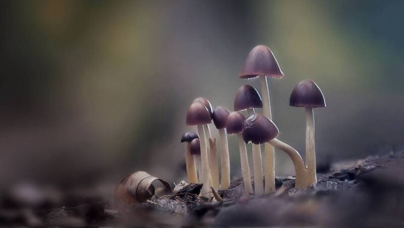 Ателье шляпок клош фото превью