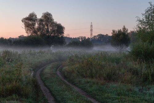 Дорога в тумане