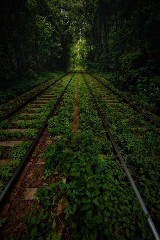 Green channel фото превью