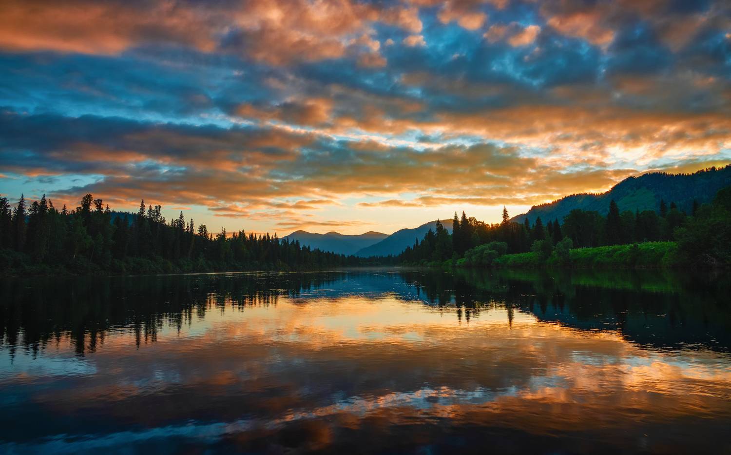 , Nikitin Alexander