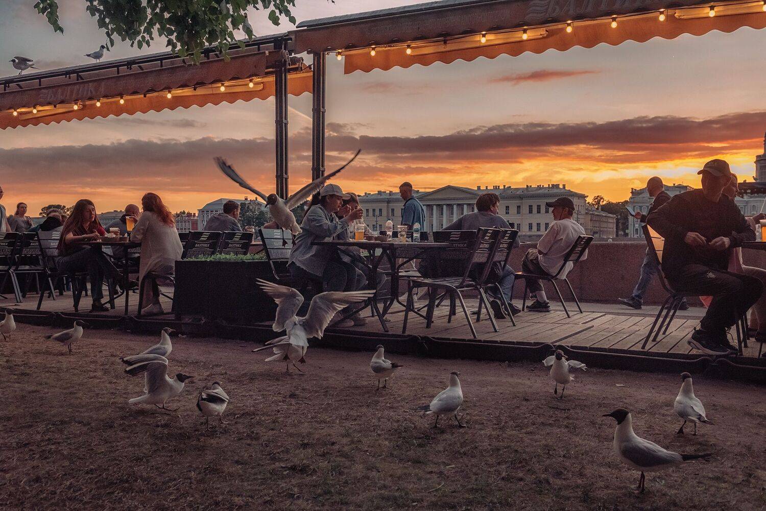 ,  Мария