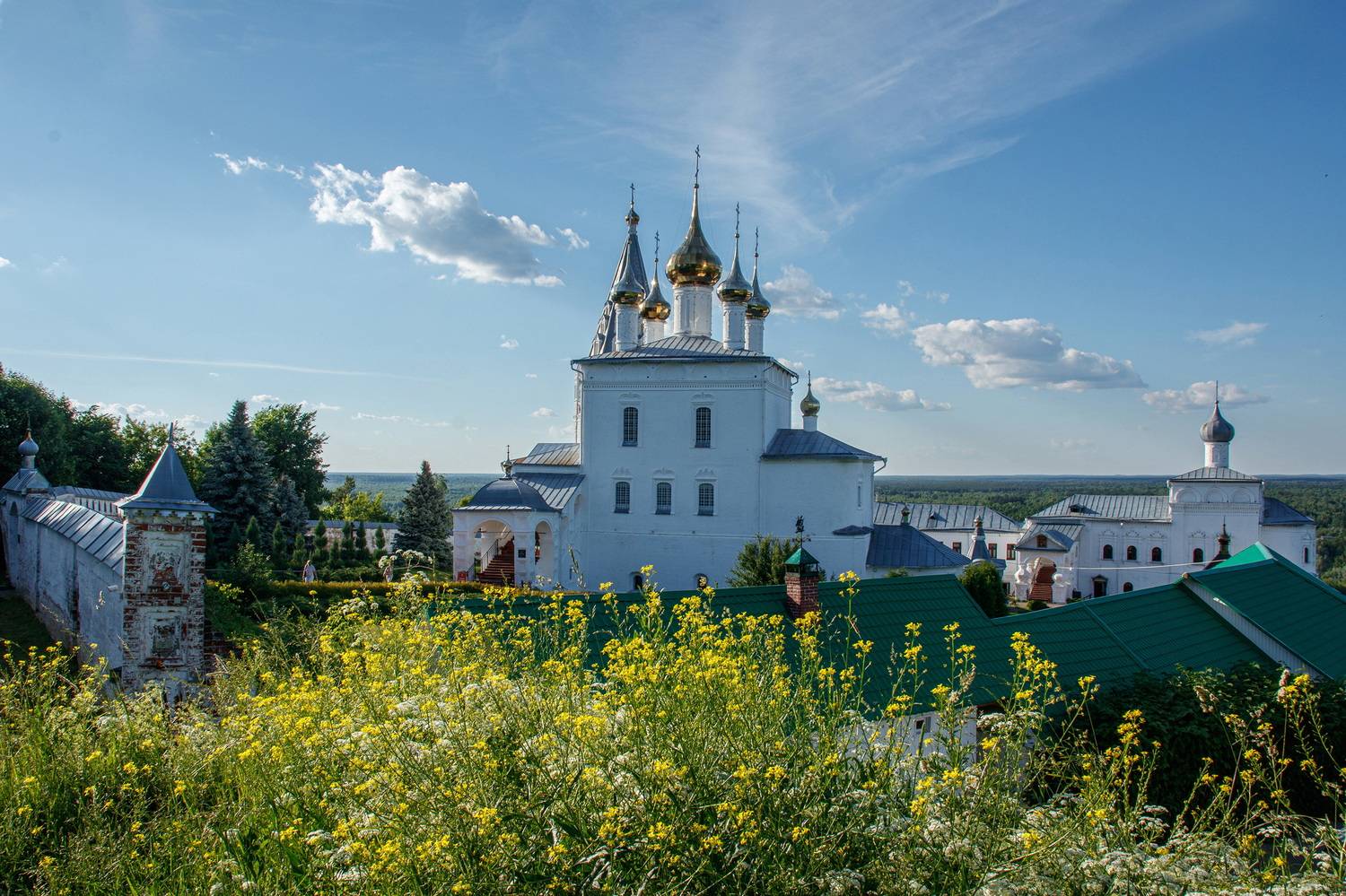 , Добролюбова Тамара