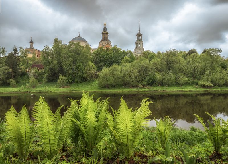 Тверская, область Торжок фото превью