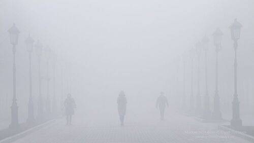 Москва. Туман в Александровском саду.
