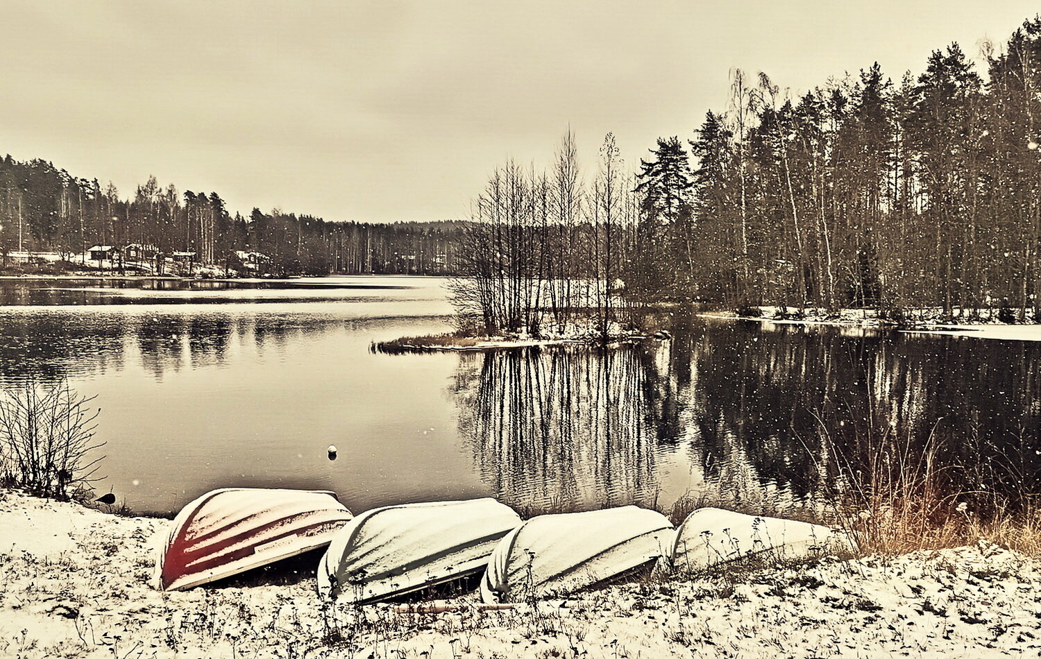 , Лидия Ушакова