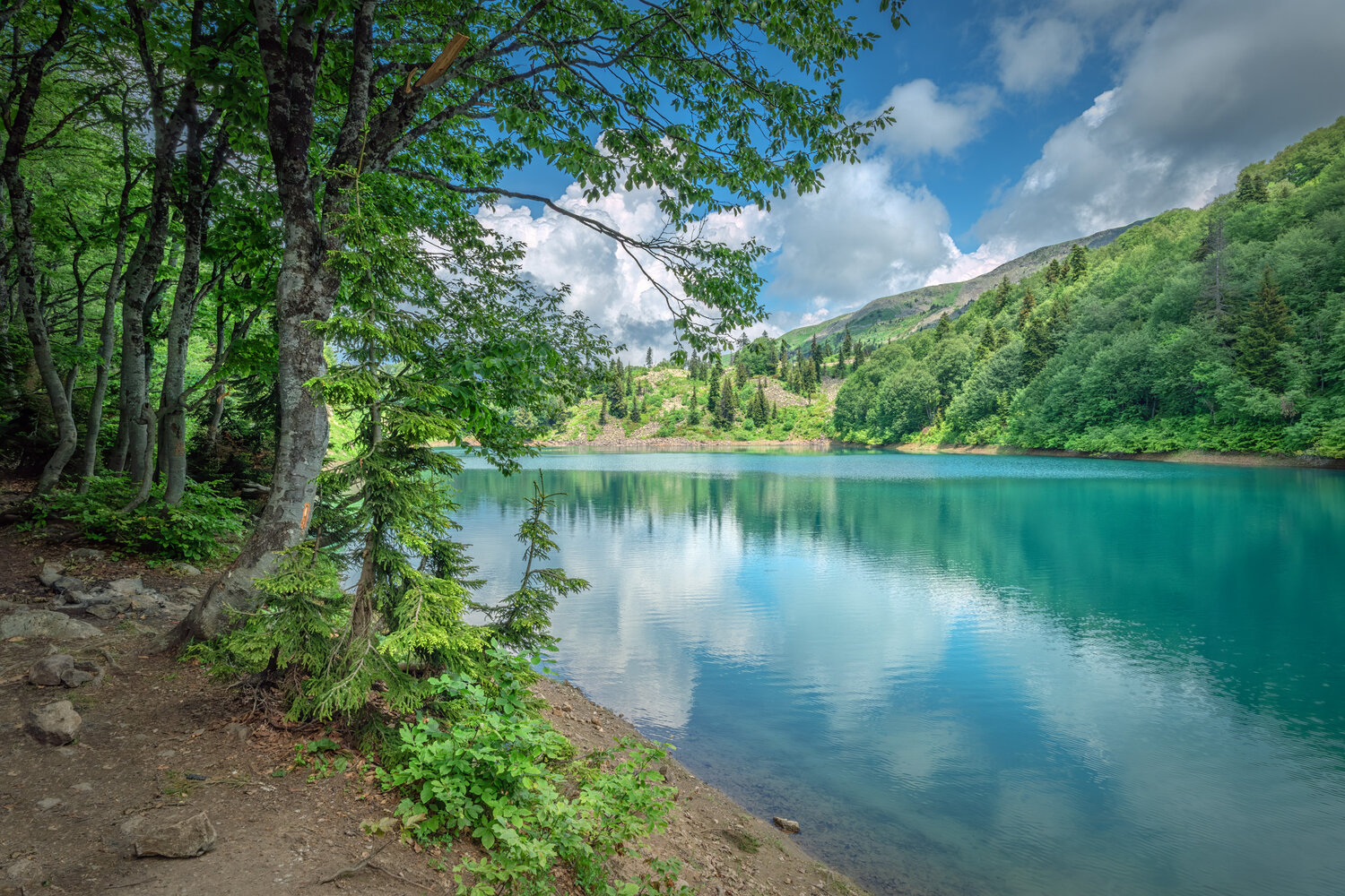 greenlake, adjara, goderdzi, lake, mountains, forest, summer, high, landscape, scenery, travel, outdoors, georgia, sakartvelo, caucasus, chizh, Андрей Чиж