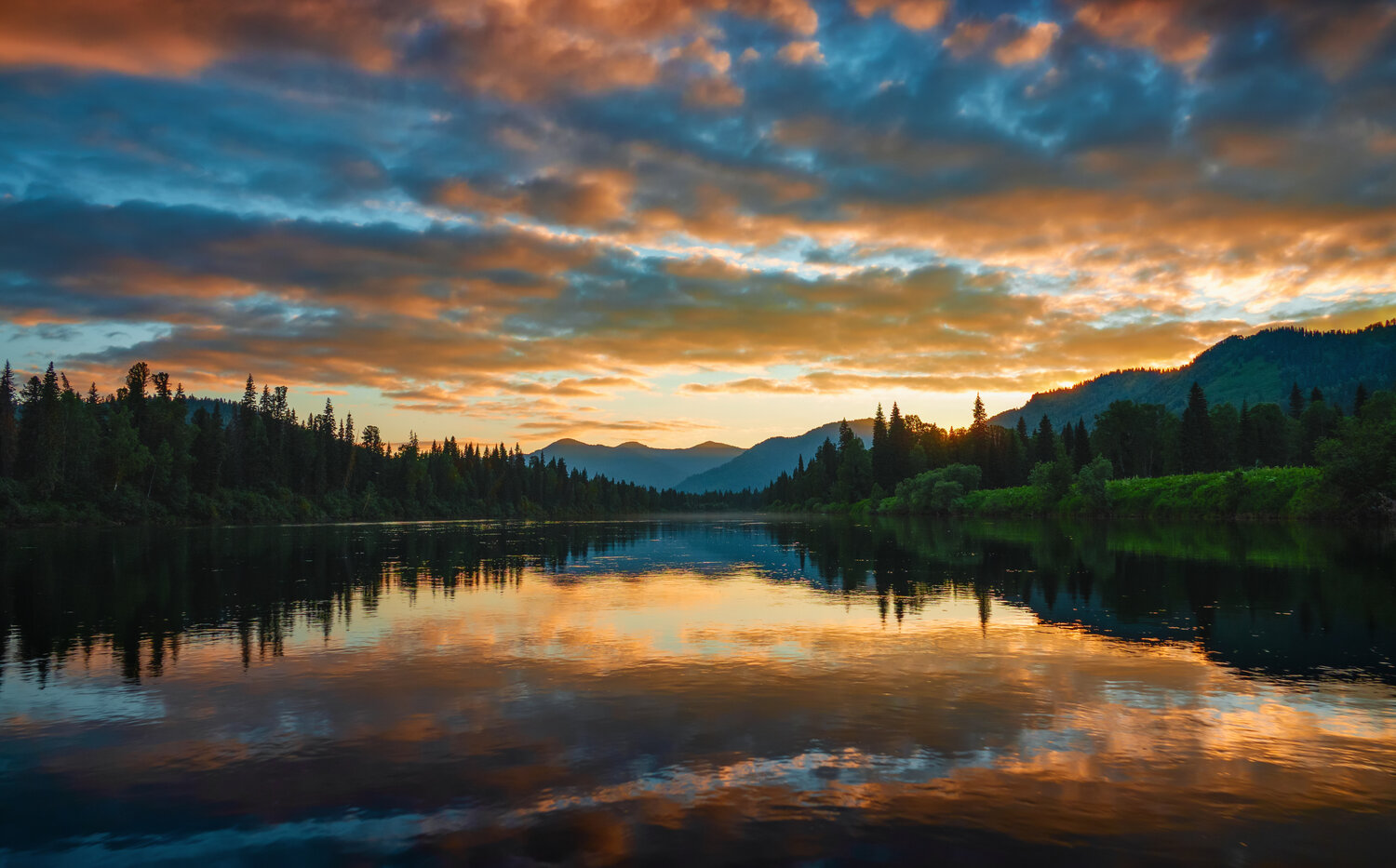 , Nikitin Alexander