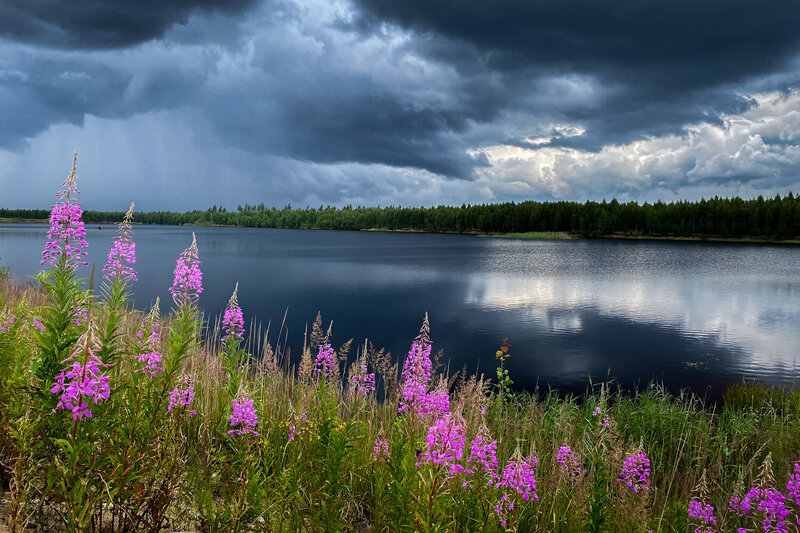 Перед грозой фото превью