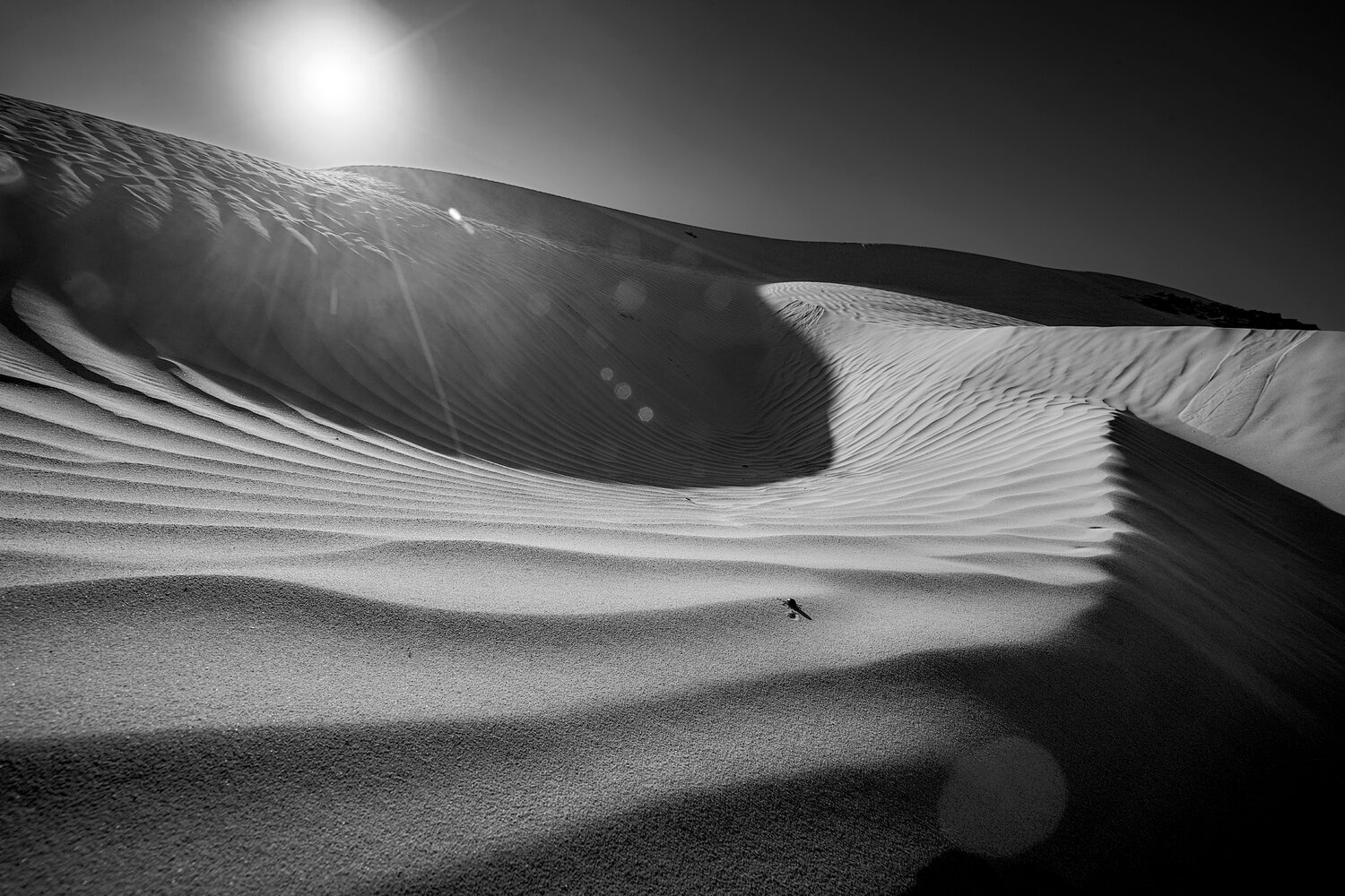 , Boris Bekelman