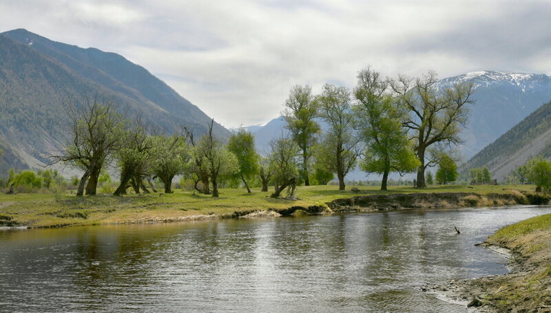 Летний Алтай фото превью